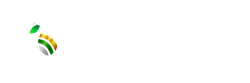 Bijaypur Silk Cluster